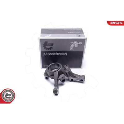 Abbildung von ESEN SKV 47SKV451 Achsschenkel Vorderachse links RENAULT: Megane Scenic, Kangoo I Rapid, Scénic 1