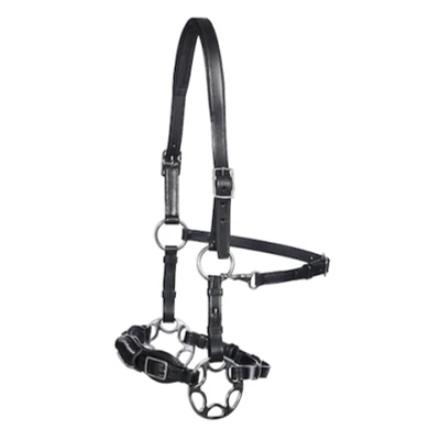 Abbildung von F.R.A. Hackamore Miranti Leder mit Anzüge Schwarz One Size