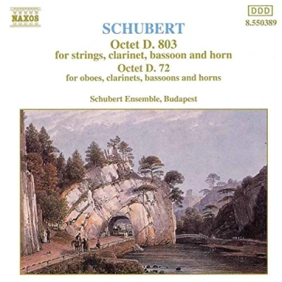 Abbildung von Schubert Oktett Ensembl