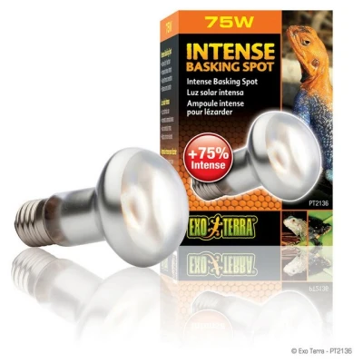 Abbildung von Exo Terra Terrarienleuchte Intense Basking Spot Tageslichtlampe