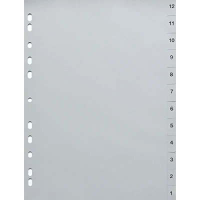 Abbildung von Zahlenregister 12 1, PP, A4, Blatt, grau