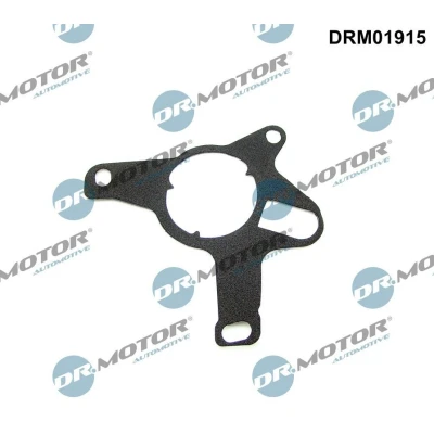 Abbildung von DR.MOTOR AUTOMOTIVE DRM01915 Dichtung, Unterdruckpumpe CITROËN: Jumper II Kastenwagen, Pritsche/Fahrgestell, C4 Picasso 2