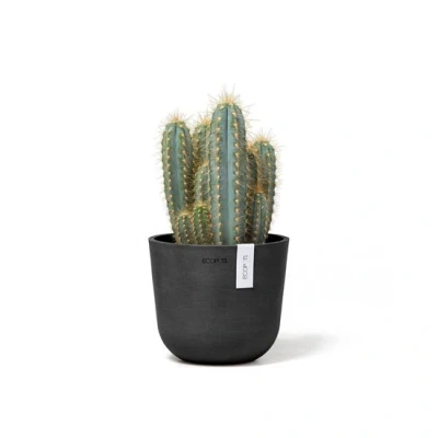 Abbildung von Ecopots Oslo mini 16 cm dunkel grau Pflanzentopf/Blumentopf