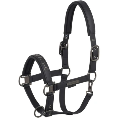 Abbildung von Eskadron SS25 Platinum Halfter Kunstleder DoppelpinVerkauft von HypoStore