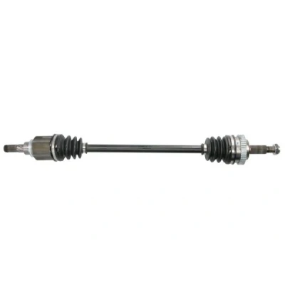 Abbildung von Antriebswelle PASCAL G2R075PC