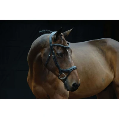 Abbildung von Collegiate Zaum Comfitec Vogue Anatomisch Schwarz XWarmblut