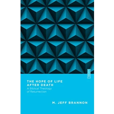 Abbildung von Hope of Life After Death: A Biblical Theology Resurrection (Essential Studies in Theology)