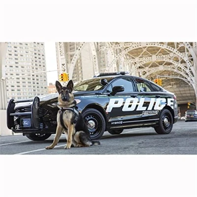 Abbildung von DIY Diamant Gemälde Malen Nach Zahlen Kits Polizeiauto Hund 25x30cm Diamond Painting Bilder, 5D Kit, Vollbohrer Kristall Strass Stickerei Mosaik für Wand Dekoration