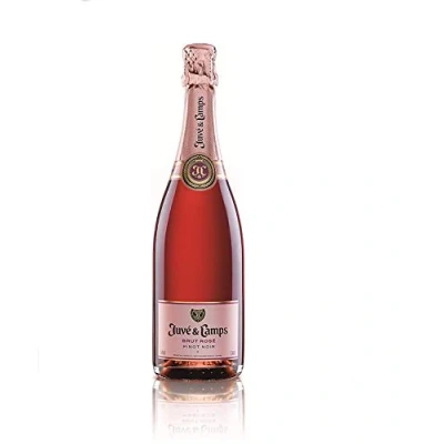Abbildung von Juvé y Camps Brut Rosé Pinot Noir Cava (1 x 0.75l)