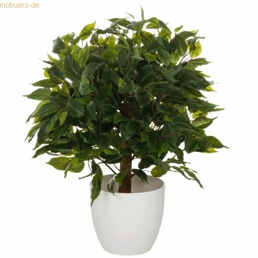 Abbildung von Kunstpflanze FICUS II Kunststoff Birke, hjh OFFICE, Höhe 65.0 cm, Künstliche Pflanze Zimmerpflanze im Topf, Benjamini