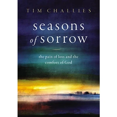 Abbildung von Seasons of Sorrow: the Pain Loss and Comfort God
