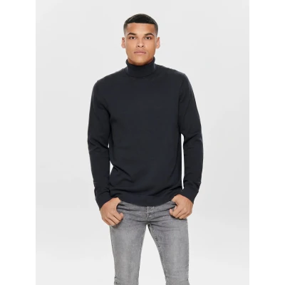 Abbildung von ONLY &amp; SONS Rollkragenpullover &quot;ONSALEX REG 12 ROLL KNIT&quot;