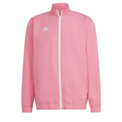 Abbildung von adidas Performance Entrada Presentation Trainingsjacke, Herren, Größe: Small, Pink glow