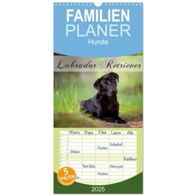 Abbildung von Familienplaner 2025 Labrador Retriever mit 5 Spalten (Wandkalender, 21 cm x 45 cm), CALVENDO