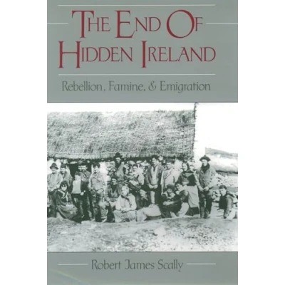 Abbildung von The End of Hidden Ireland: Rebellion, Famine, &amp; Emigration: and Emigration