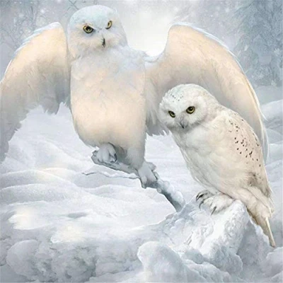 Abbildung von Klassische Puzzles 1500 Teile, Zwei weiße Eulen im Schnee Puzzle, Puzzle Kreative, Impossible Pädagogisches, Farbenfrohes für Erwachsene Kinder 35x23 Zoll (87 x 57cm)