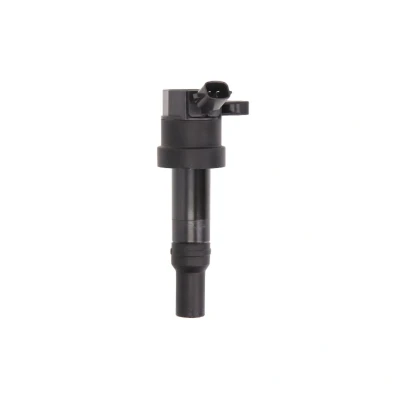 Abbildung von DELPHI GN10585 12B1 Zündspule 2 12 HYUNDAI: i10 I, II Schrägheck, KIA: Picanto