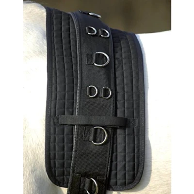 Abbildung von Waldhausen Longierunterlage Schwarz Pony