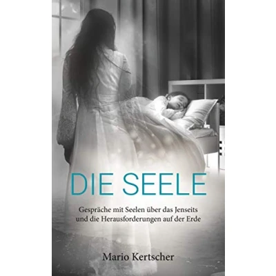 Abbildung von die Seele: Gespräche mit Seelen über das Jenseits und Herausforderungen auf der Erde