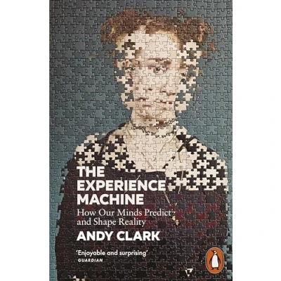 Abbildung von The Experience Machine: How Our Minds Predict and Shape Reality