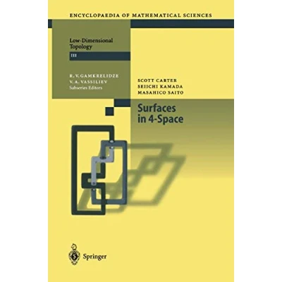 Abbildung von Surfaces in 4 Space (Encyclopaedia of Mathematical Sciences, Band 142)