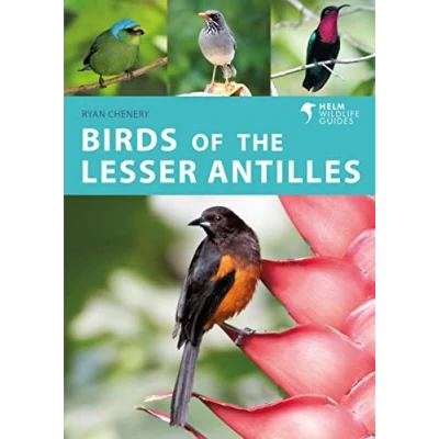 Abbildung von Birds of the Lesser Antilles: A Photographic Guide (Helm Wildlife Guides)