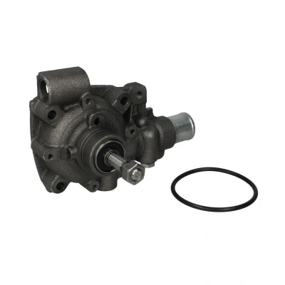 Abbildung von DOLZ B114 Wasserpumpe IVECO: DAILY 2 Kasten/Kombi, Pritsche/Fahrgestell, Bus