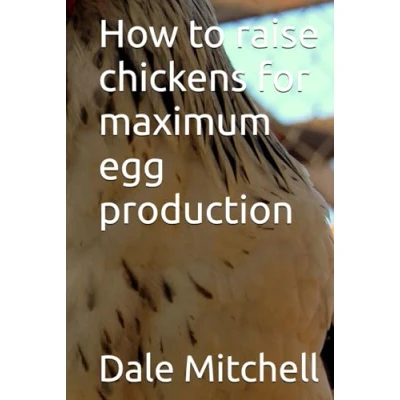 Abbildung von How to raise chickens for maximum egg production