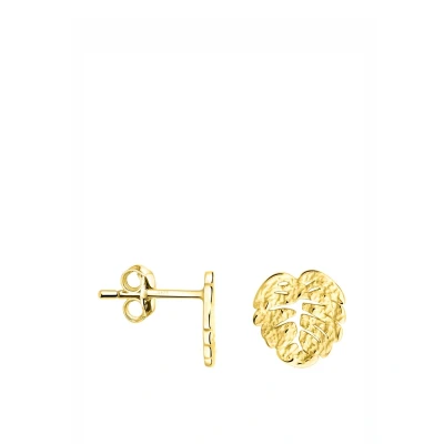 Abbildung von Sofia Milani Hammered LEAF Ohrringe goldcoloured, Damen, Größe: One Size, Gold coloured