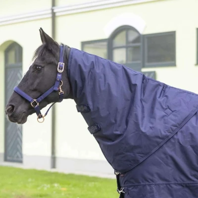 Abbildung von RugBe by Covalliero Halsstück IceProtect Dark Navy L