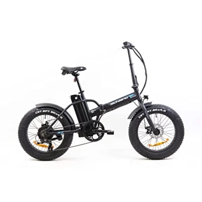 Abbildung von F.lli Schiano e Boss 20 Zoll bike Pedelec , Elektrofahrräder für Herren / Damen bis 25 km/h Klapprad Fahrrad Erwachsene Bicycle Elektrofahrrad Fatbike electric Faltrad Klappfahrrad