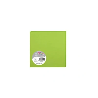 Abbildung von Clairefontaine 1854C Packung (mit 25 Karten Pollen, 135 x mm) 210g, minze