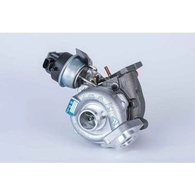 Abbildung von BorgWarner DS2002774 Pumpe, Lamellenkupplung Allradantrieb