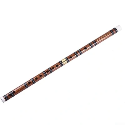 Abbildung von Bambusflöte Dizi Traditionelles handgefertigtes chinesisches Musikinstrument Vintage (D Taste)