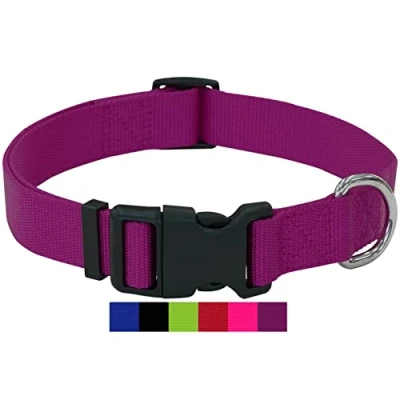 Abbildung von DEY Premium Hundehalsband Nylon Verstellbar für Kleine u. Große Hunde viele Farben Größen Hund Katze Welpe Halsbänder Katzen Halsband Welpen Lila, XS