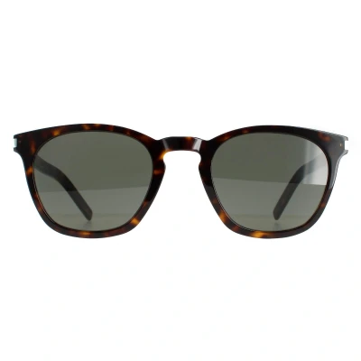 Abbildung von SAINT LAURENT Unisex SL 28 SLIM 003 Gläser SONNENBRILLEN Acetat Havanna Grau Quadratisch Normal