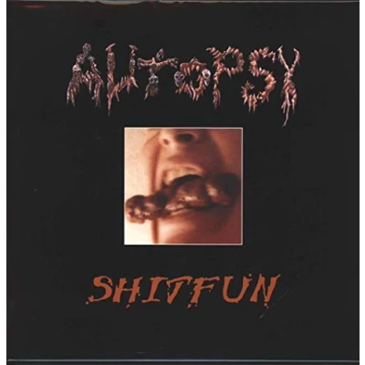 Abbildung von Shitfun [Vinyl LP]