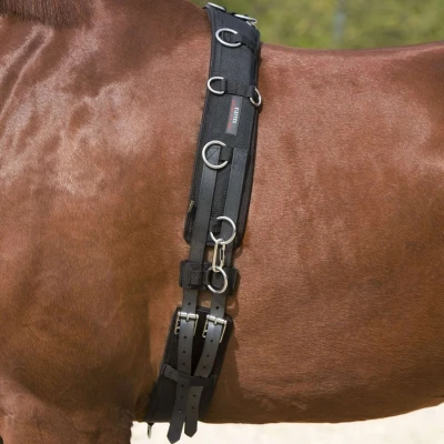 Abbildung von Kieffer Longiergurt Schwarz Warmblut
