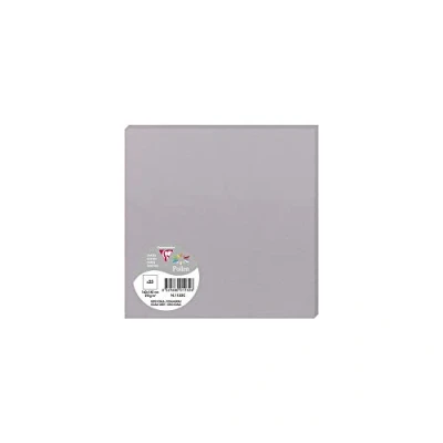 Abbildung von Clairefontaine 1132C Packung (mit 25 Karten Pollen 160 x 160mm) 210g, koalagrau