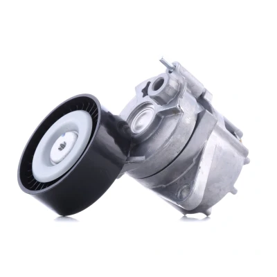 Abbildung von SNR GA351.08 Spannrolle MERCEDES BENZ: C Klasse T modell, Sprinter 3.5 Pritsche/Fahrgestell, E JEEP: GRAND CHEROKEE 2 kfzteile,