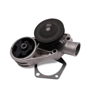 Abbildung von HEPU P641 Wasserpumpe mit Dichtung mechanisch Metall