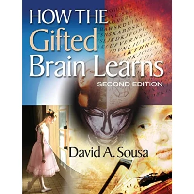 Abbildung von How the Gifted Brain Learns