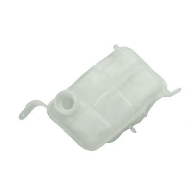 Abbildung von THERMOTEC DBG009TT Wasserkasten, Kühler FORD: ESCORT 4