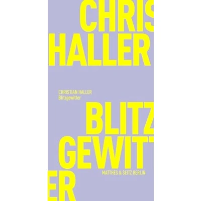 Abbildung von Blitzgewitter: Eine kurze Geschichte des Lichts, in das wir uns stellen (Fröhliche Wissenschaft)