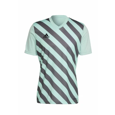 Abbildung von adidas Herren Entrada 22 Graphic Jersey, Clear Mint/Team Grey Four, M