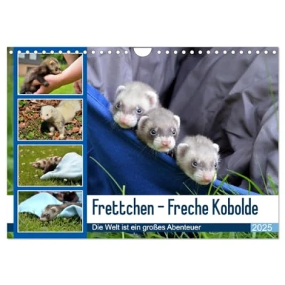Abbildung von Frettchen Freche Kobolde (Wandkalender 2025 DIN A4 quer), CALVENDO Monatskalender