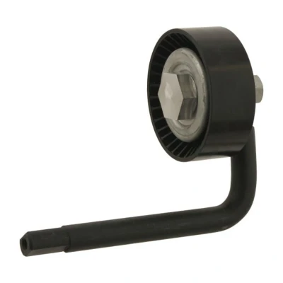 Abbildung von SWAG 20 93 0116 Spannrolle mit Halter BMW: 3 Touring, Limousine, 5 Limousine