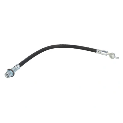 Abbildung von DELPHI LH7255 Bremsschläuche 399 Banjo LEXUS: IS 2