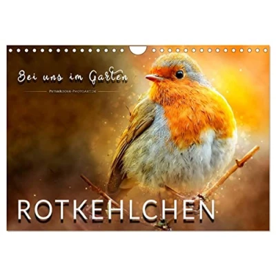 Abbildung von Bei uns im Garten Rotkehlchen (Wandkalender 2025 DIN A4 quer), CALVENDO Monatskalender