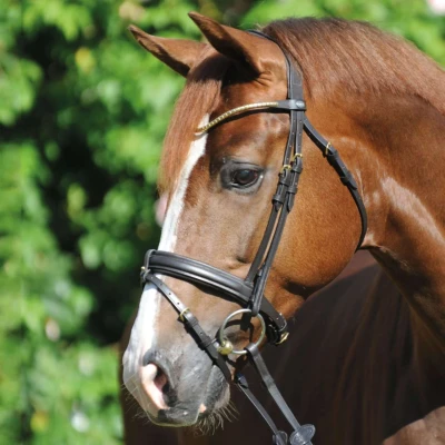 Abbildung von Kavalkade Trense Clinchesse Braun/Messing Warmblut